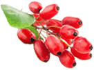 GlucoTru Pro
